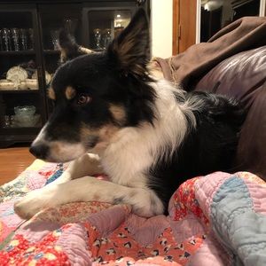 Meet your Posher, Shannon